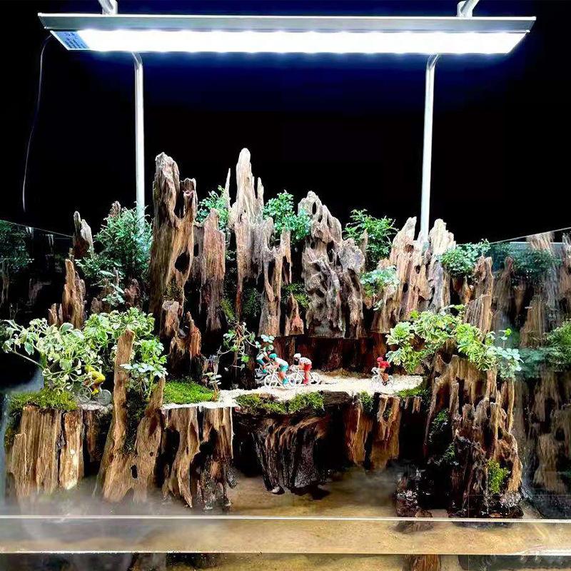 Marine Aquarium For Sale - エビ用木製水槽装飾品、天然の穴が付いたエビに適した天然木の水景装飾アクセサリー