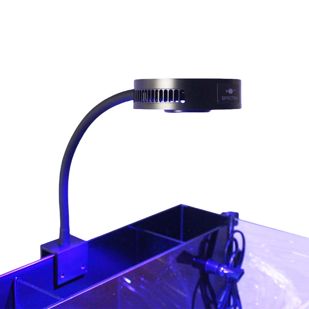 Aquarium Marine Fishes - Aquaknight V2 マリンリーフライト 36 ワットフルスペクトル日没日の出プログラム可能な 3