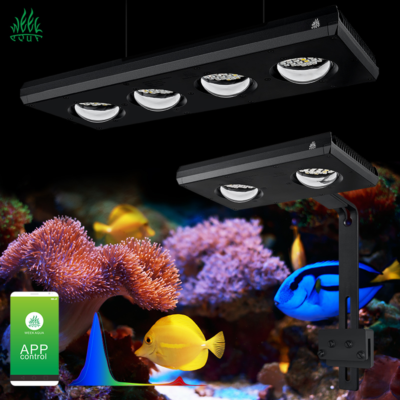 Marine Aquarium For Sale - ZXY ホットセール WEEKAQUA Z250 Z400sea 照明