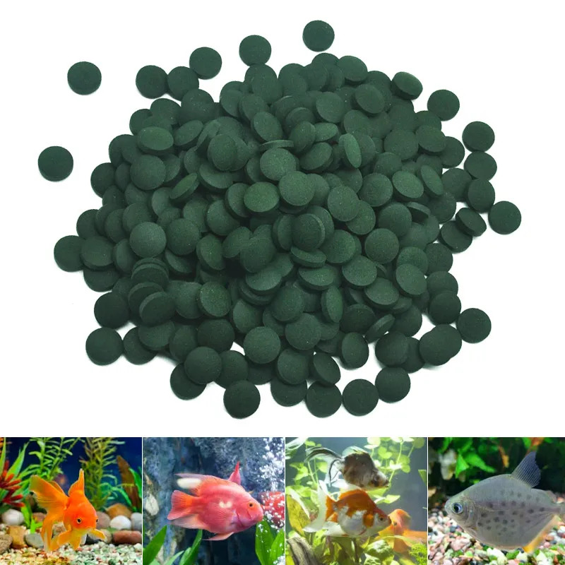100-3000個 高純度スピルリナ錠剤 スパイラル海藻強化 - Marine Aquarium Bacteria のレビューと価格
