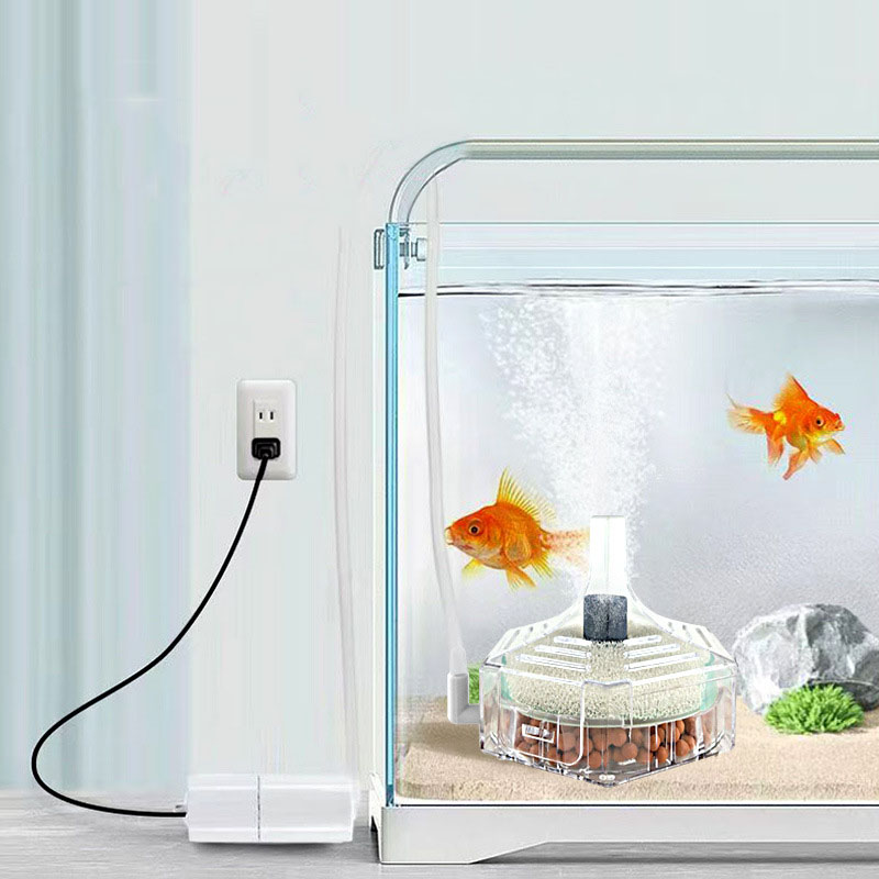 超薄型水槽フィルター 透明生化学スポンジフィルター 小型水槽 - Marine Aquarium Bacteria のレビューと価格