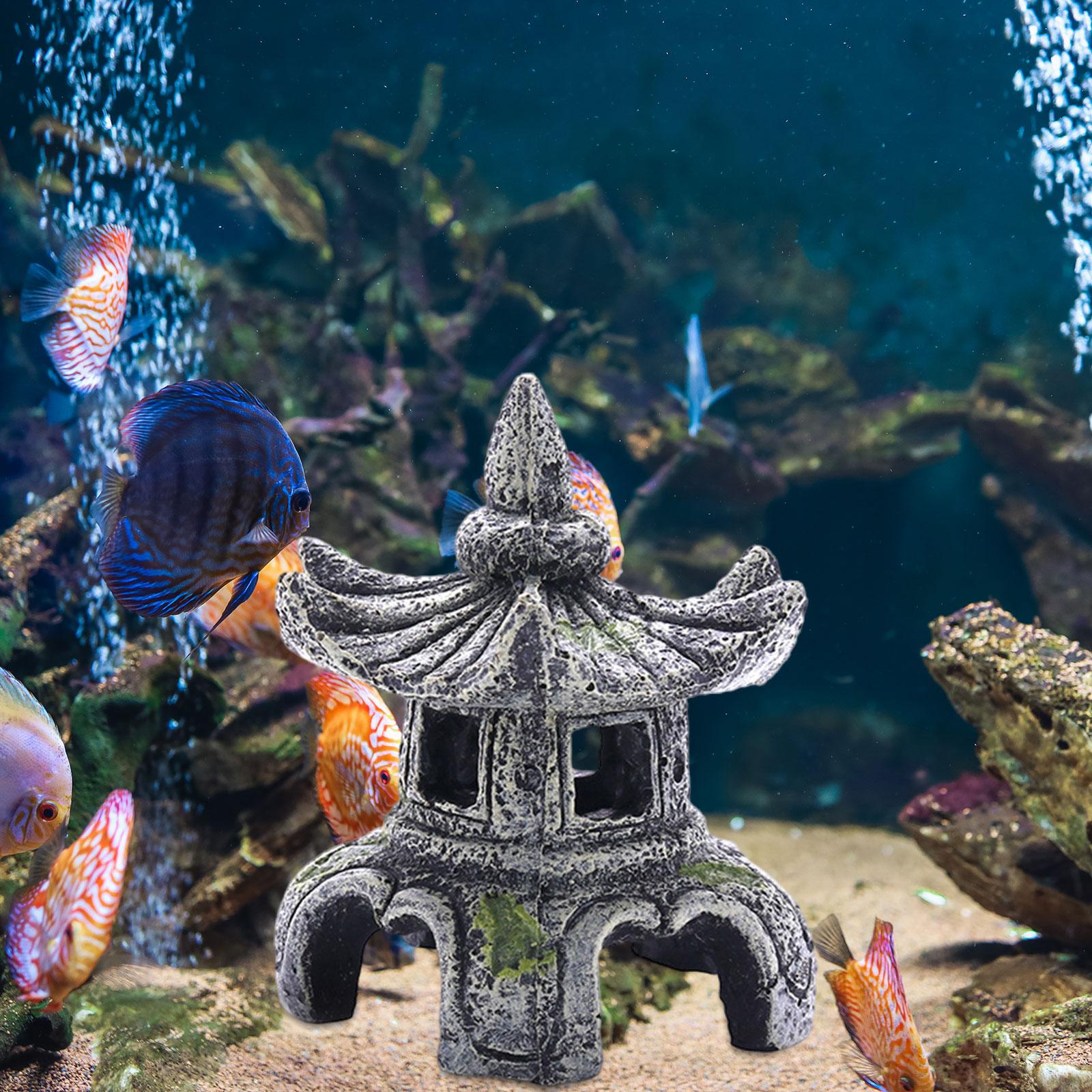 水族館の装飾,水槽の装飾,ペットアクセサリー - Marine Aquarium For Sale のレビューと価格