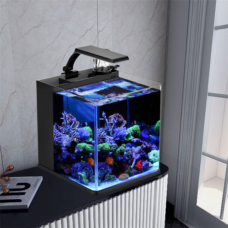 スカイヌオ ウルトラクリアガラス ミニ海水海洋水槽 メディア - Marine Aquarium Cube のレビューと価格