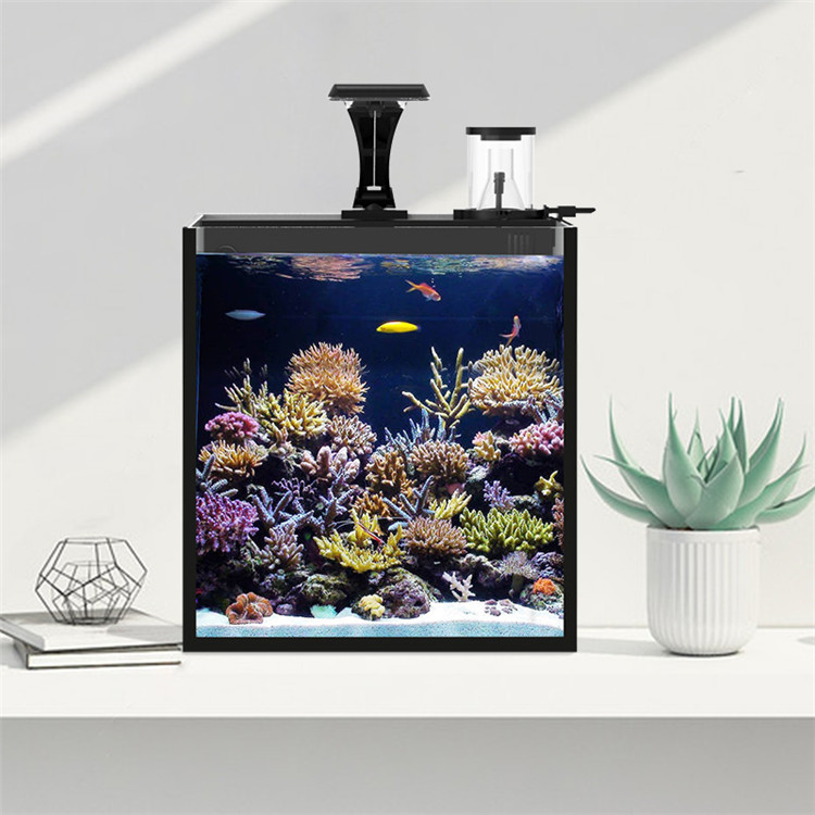 スカイヌオ ウルトラクリアガラス ミニ海水海洋水槽 メディア - Marine Aquarium Cube のレビューと価格