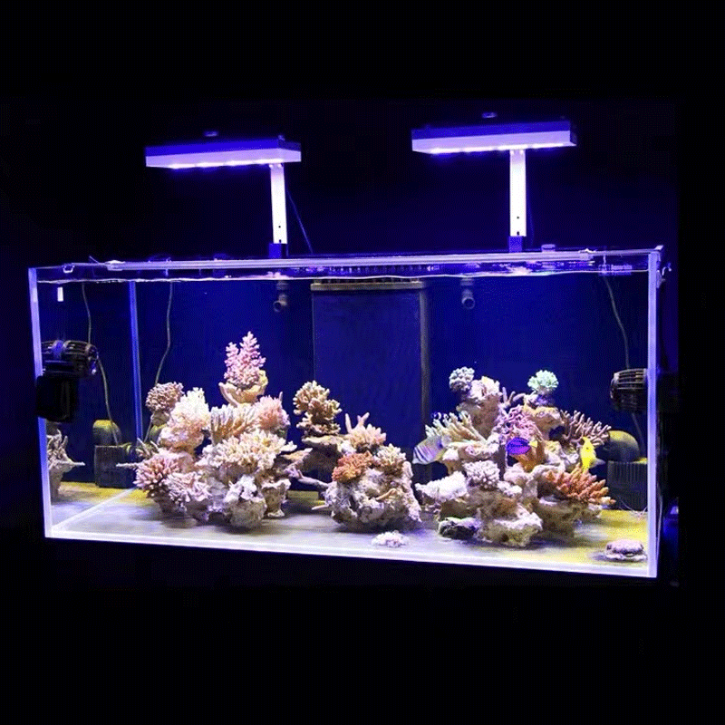 アクアイルミネーション AI ハイドラ 32HD/64HD  - Aquarium Marine Fishes のレビューと価格