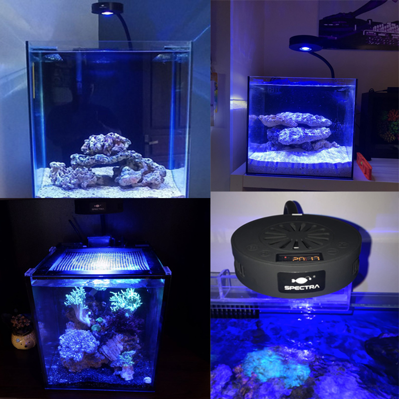 Aquaknight V2 マリンリーフライト 36 ワット - Aquarium Marine Fishes のレビューと価格