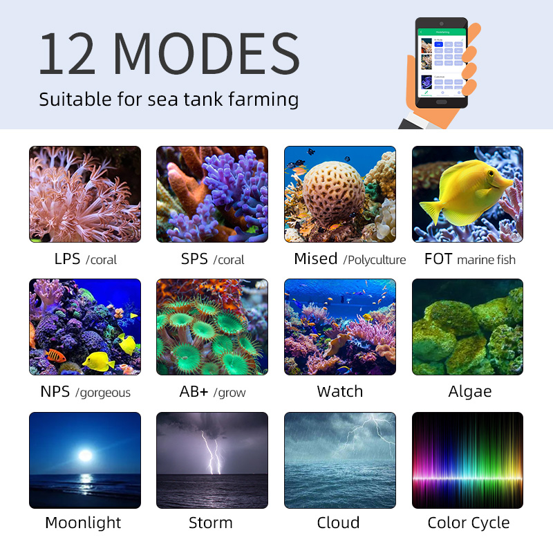 ZXY ホットセール WEEKAQUA Z250 Z400s - Marine Aquarium For Sale のレビューと価格