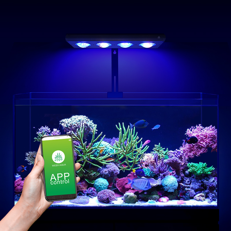 ZXY ホットセール WEEKAQUA Z250 Z400s - Marine Aquarium For Sale のレビューと価格