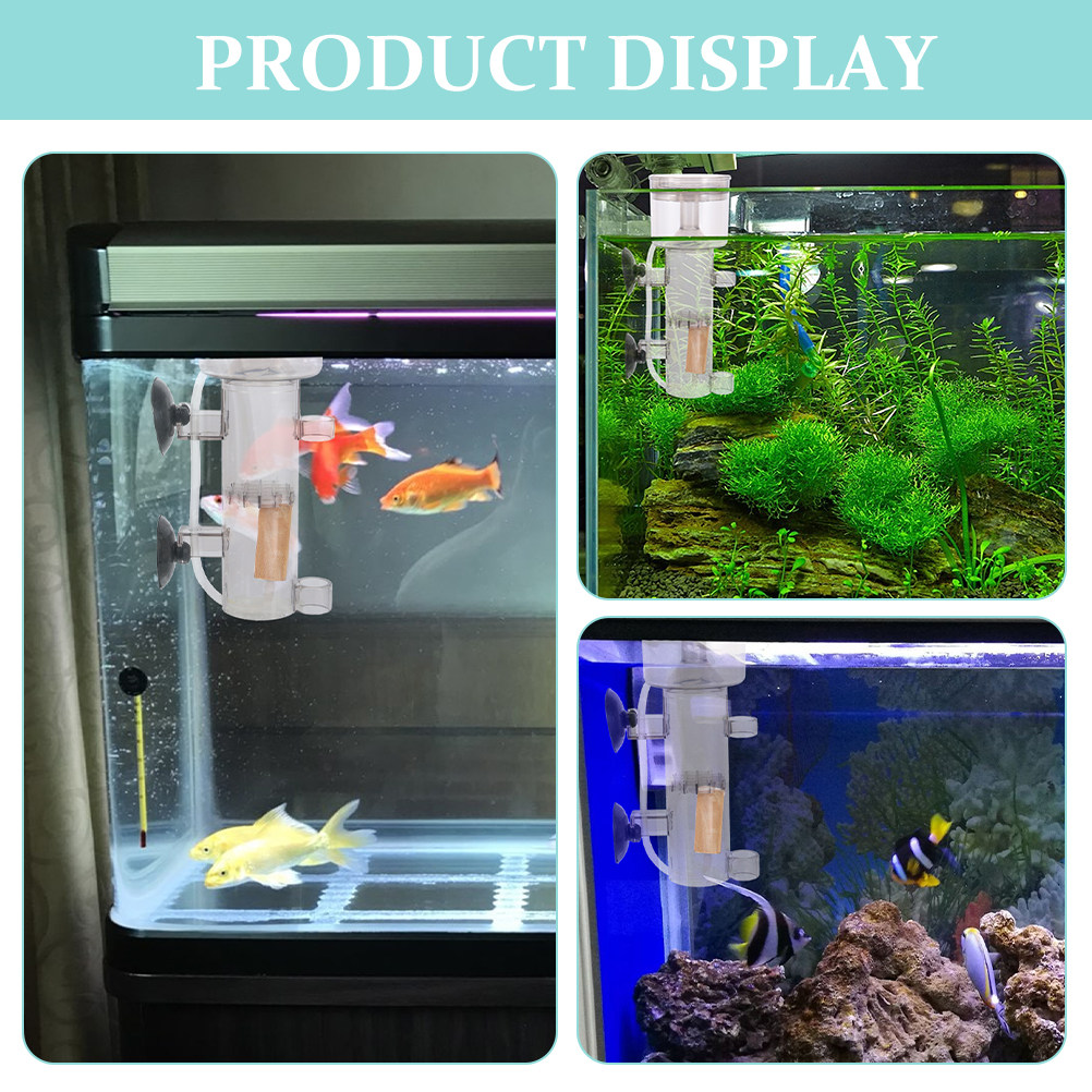 プロテインスキマー内蔵ミニ水槽セパレーター、効率的な海水タン - Aquarium Marine Fishes のレビューと価格