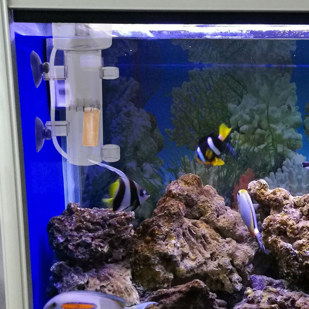 プロテインスキマー内蔵ミニ水槽セパレーター、効率的な海水タン - Aquarium Marine Fishes のレビューと価格