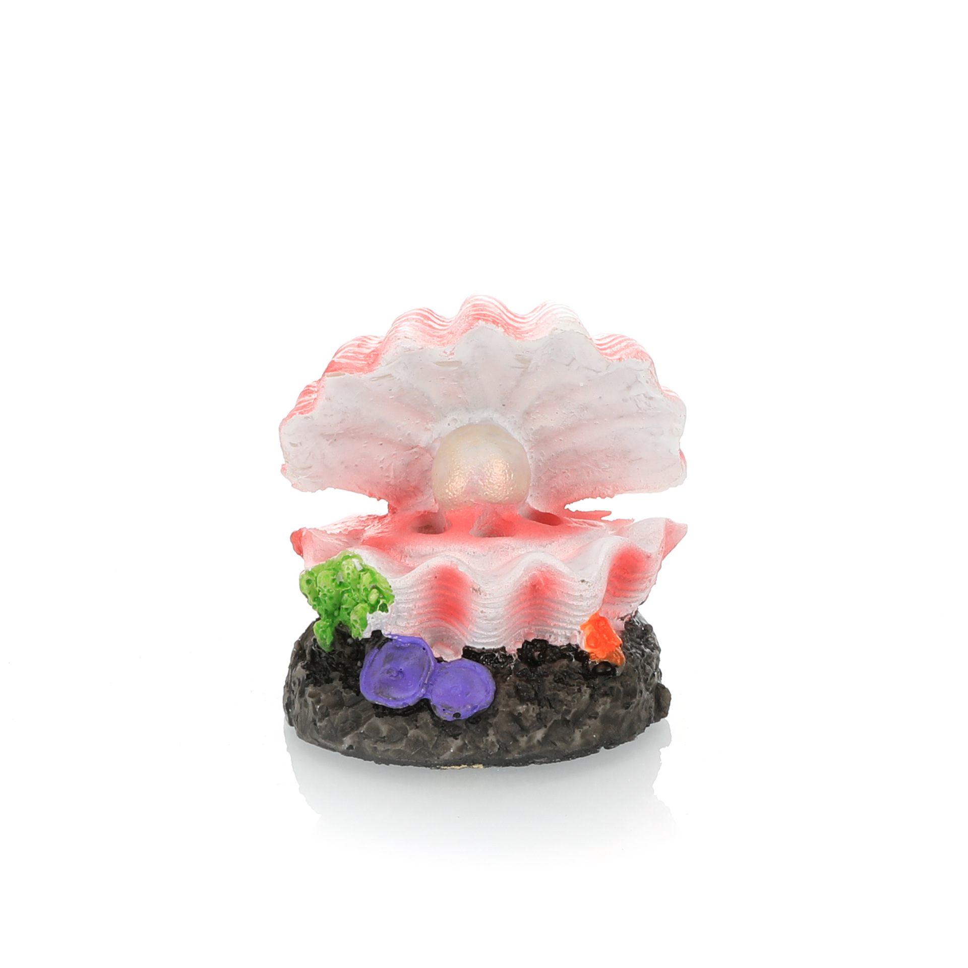 水槽造園シミュレーション火山水族館アクセサリーロッカリーエア - Marine Aquarium For Sale のレビューと価格