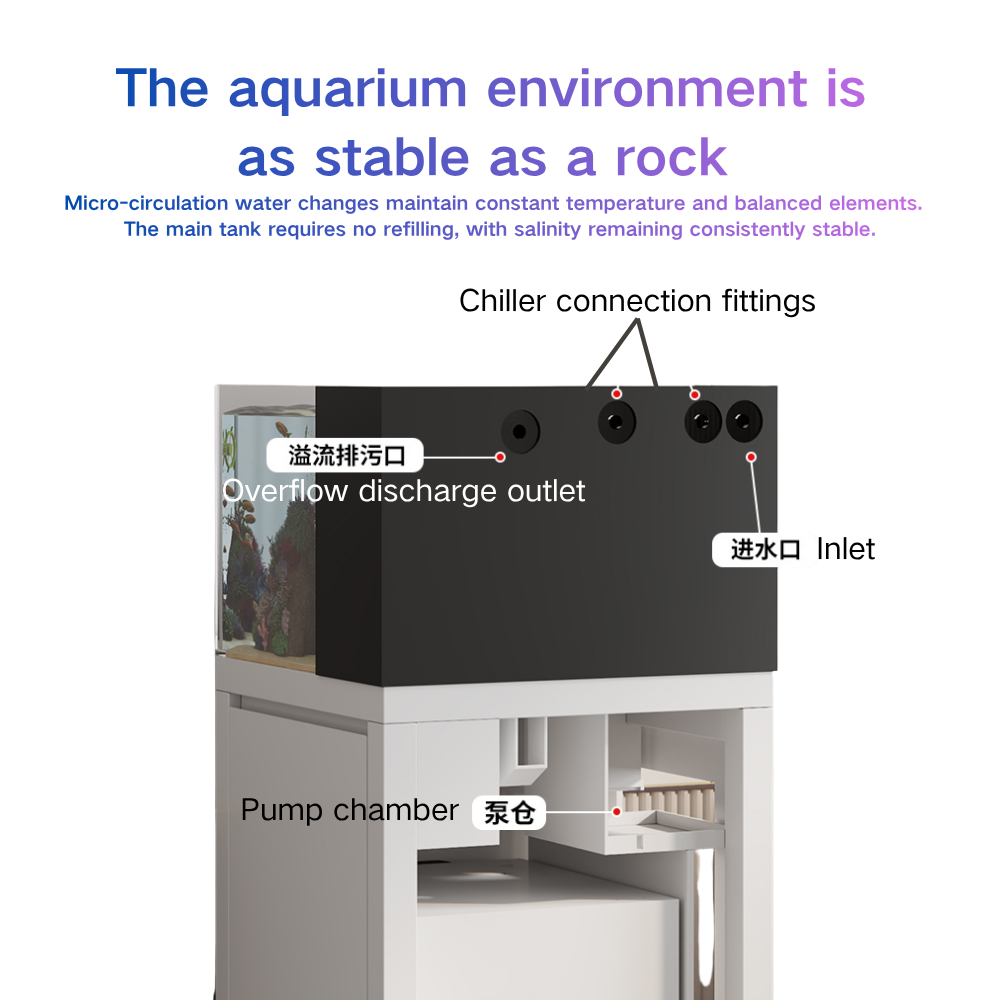 スマートフィッシュタンク自動水交換機能付き60cmキューブ型 - Marine Aquarium Cube のレビューと価格