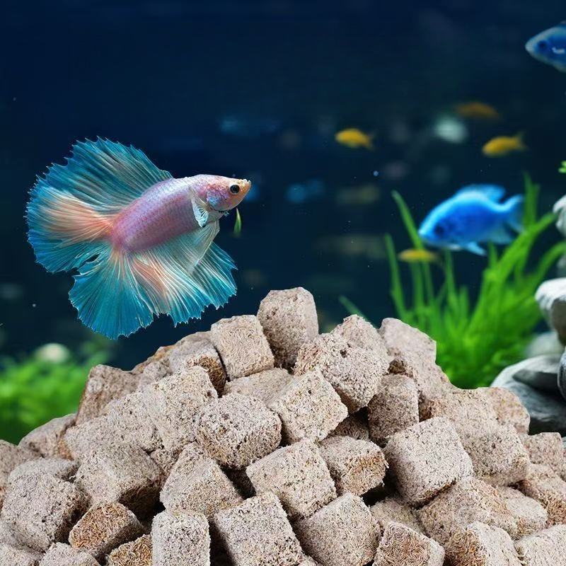 天然フリーズドライブラッドワームキューブ チュービフェックス - Marine Aquarium Cube のレビューと価格
