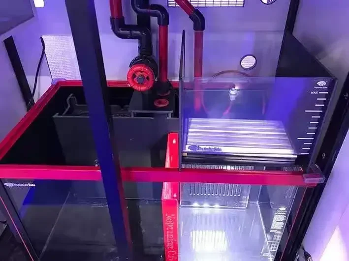ネプチューンキューブ レフュジウム LEDライト 10W、ア - Marine Aquarium Cube のレビューと価格