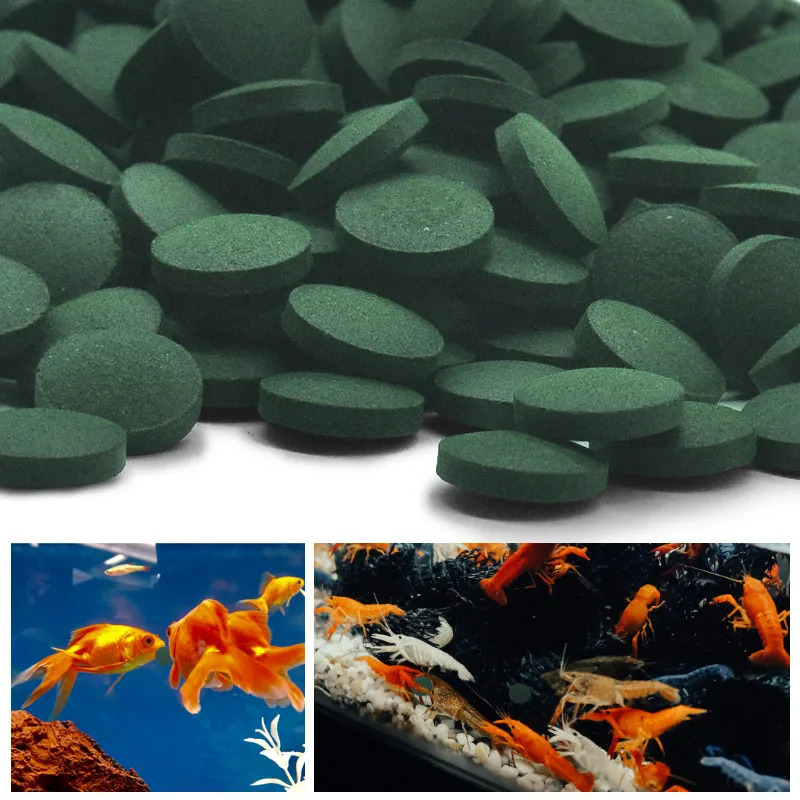 50-300 個高純度スピルリナ錠剤螺旋状海藻濃縮お気に入り - Marine Aquarium Bacteria のレビューと価格
