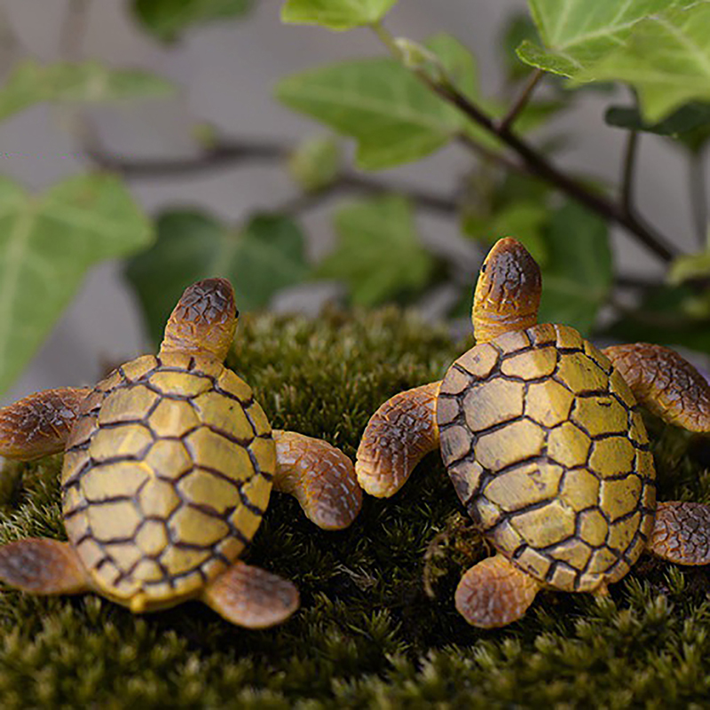 1PC ミニウミガメモデル樹脂水族館の水槽家の風景の装飾品装 - Marine Aquarium For Sale のレビューと価格
