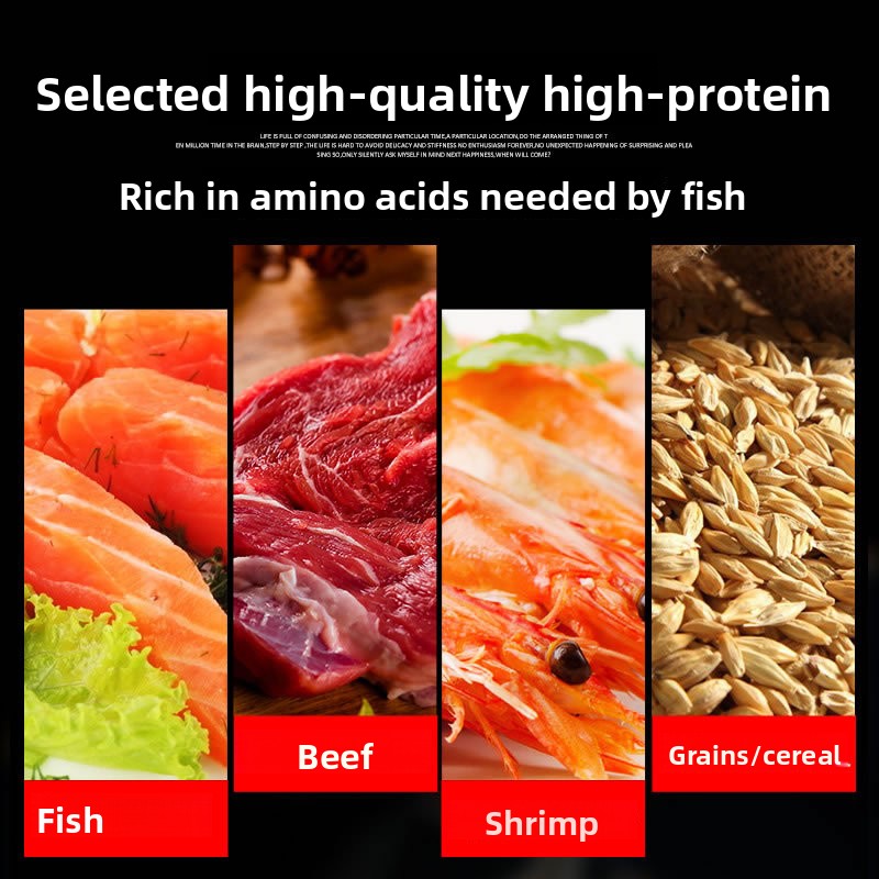 サンサン 錦鯉 観賞魚 金魚用飼料 高スピルリナ配合 色彩強 - Marine Aquarium Bacteria のレビューと価格